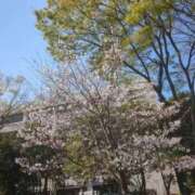 ヒメ日記 2026/04/01 19:20 投稿 メイサ◆SP可◆ Ageha(アゲハ)