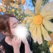 ヒメ日記 2026/02/10 00:06 投稿 瀬戸 まりな Canx2神戸店