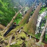 ヒメ日記 2026/03/20 07:26 投稿 瀬戸 まりな Canx2神戸店