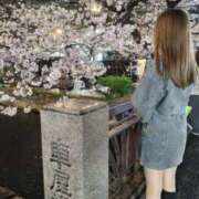 ヒメ日記 2026/03/31 07:16 投稿 瀬戸 まりな Canx2神戸店