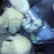 ヒメ日記 2025/06/09 17:43 投稿 白石 ななせ しゃせきょっ!XX教育される制服女子たち