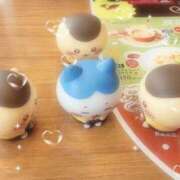 ヒメ日記 2025/11/30 21:26 投稿 みこ☆えっちなコンカフェ嬢☆ アネキャンモード