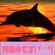 ヒメ日記 2025/04/27 21:03 投稿 りお いわき小名浜ちゃんこ