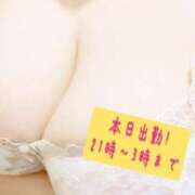 ヒメ日記 2025/04/30 08:03 投稿 りお いわき小名浜ちゃんこ