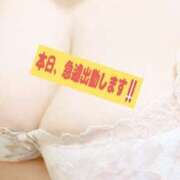 ヒメ日記 2025/05/01 13:23 投稿 りお いわき小名浜ちゃんこ