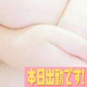 ヒメ日記 2025/05/03 12:23 投稿 りお いわき小名浜ちゃんこ