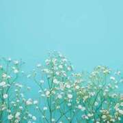 ヒメ日記 2025/07/09 02:43 投稿 りお いわき小名浜ちゃんこ