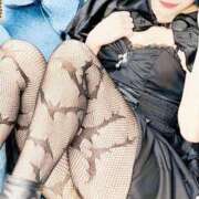 ヒメ日記 2025/10/27 12:18 投稿 らら 夕月