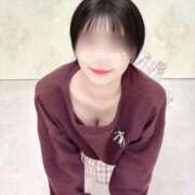 ヒメ日記 2025/11/01 12:11 投稿 らら 夕月