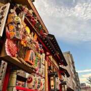 ヒメ日記 2025/11/13 12:20 投稿 らら 夕月