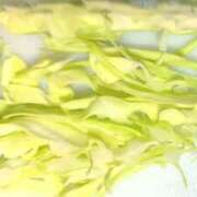 ヒメ日記 2026/02/25 09:19 投稿 らら 夕月