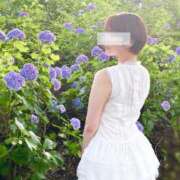 らら 🌻お昼寝仲間募集中🌻 夕月