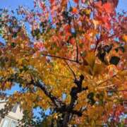 りんご若奥 さっむー🍁⛄️ 未熟な若奥