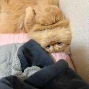 ヒメ日記 2026/01/06 20:23 投稿 みきな 千葉人妻花壇