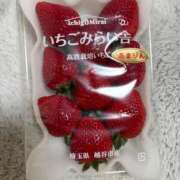 ヒメ日記 2026/03/03 12:08 投稿 みきな 千葉人妻花壇