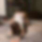 ヒメ日記 2026/03/08 06:05 投稿 久楽々（くらら） 東金人妻花壇