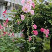 ヒメ日記 2025/09/15 17:15 投稿 はつえ 熟女の風俗最終章 八王子店