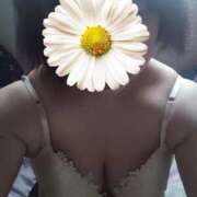 ヒメ日記 2025/12/30 16:21 投稿 ありす 奥様特急長岡店