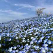 ヒメ日記 2025/05/13 08:57 投稿 えれん 奥様はエンジェル　町田店