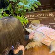 ヒメ日記 2025/05/19 00:58 投稿 えれん 奥様はエンジェル　町田店