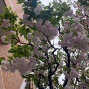 みく 今朝も… シルクハット