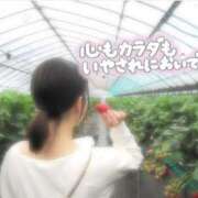 ヒメ日記 2025/06/22 12:04 投稿 あや ときめき純情ロリ学園～東京乙女組 新宿校