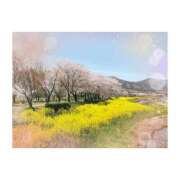 ヒメ日記 2025/04/14 18:36 投稿 なのはな 新潟市鳥屋野潟ちゃんこ