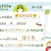 ヒメ日記 2025/04/15 15:56 投稿 なのはな 新潟市鳥屋野潟ちゃんこ