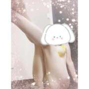 ヒメ日記 2025/04/25 12:08 投稿 なのはな 新潟市鳥屋野潟ちゃんこ