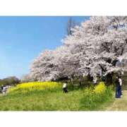 ヒメ日記 2025/04/28 20:36 投稿 なのはな 新潟市鳥屋野潟ちゃんこ