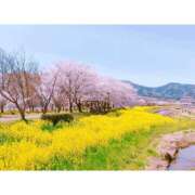 ヒメ日記 2025/05/11 12:26 投稿 なのはな 新潟市鳥屋野潟ちゃんこ