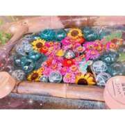 ヒメ日記 2025/07/03 18:26 投稿 なのはな 新潟市鳥屋野潟ちゃんこ