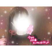 ヒメ日記 2025/08/05 17:56 投稿 なのはな 新潟市鳥屋野潟ちゃんこ