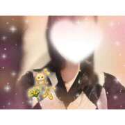 ヒメ日記 2026/03/27 11:16 投稿 なのはな 新潟市鳥屋野潟ちゃんこ