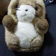 ヒメ日記 2025/04/17 19:11 投稿 なお ドMな奥様 京都店