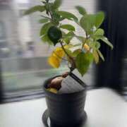 ヒメ日記 2025/05/19 18:58 投稿 かなん【超敏感爆乳彼女】 STELLA TOKYO－ステラトウキョウ－