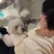 ヒメ日記 2025/11/29 00:16 投稿 かなん【超敏感爆乳彼女】 STELLA TOKYO－ステラトウキョウ－