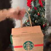 ヒメ日記 2025/12/21 18:54 投稿 かなん【超敏感爆乳彼女】 STELLA TOKYO－ステラトウキョウ－