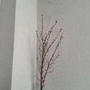 ヒメ日記 2026/01/30 11:24 投稿 かなん【超敏感爆乳彼女】 STELLA TOKYO－ステラトウキョウ－