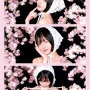 ヒメ日記 2026/03/20 12:18 投稿 かなん【超敏感爆乳彼女】 STELLA TOKYO－ステラトウキョウ－