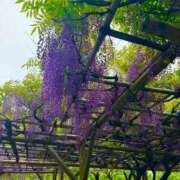 ヒメ日記 2026/04/24 08:50 投稿 かなん【超敏感爆乳彼女】 STELLA TOKYO－ステラトウキョウ－