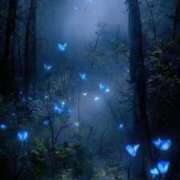 ヒメ日記 2025/11/30 11:46 投稿 蓮（れん） 神戸泡洗体ハイブリッドエステ