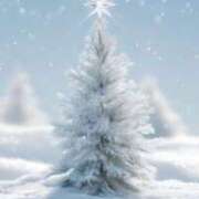 ヒメ日記 2025/12/12 23:13 投稿 蓮（れん） 神戸泡洗体ハイブリッドエステ