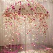 ヒメ日記 2025/12/31 21:30 投稿 蓮（れん） 神戸泡洗体ハイブリッドエステ