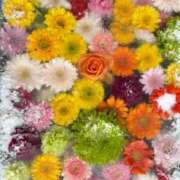 ヒメ日記 2026/01/16 09:55 投稿 蓮（れん） 神戸泡洗体ハイブリッドエステ