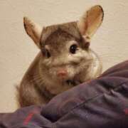 ヒメ日記 2025/05/11 22:20 投稿 みゆき 熟女の風俗最終章 相模原店