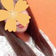 ヒメ日記 2025/04/14 13:47 投稿 るな One More 奥様　五反田店