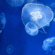 ヒメ日記 2025/06/26 13:26 投稿 さな 道玄坂クリスタル