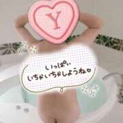 ヒメ日記 2025/08/18 10:05 投稿 ゆう 新潟市鳥屋野潟ちゃんこ