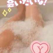 ヒメ日記 2025/10/13 07:57 投稿 ゆう 新潟市鳥屋野潟ちゃんこ